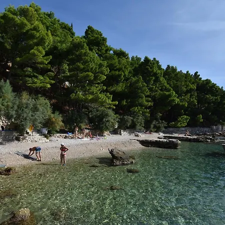 House Mimica * Stanici